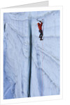Ice climbing in the Bernes Oberland, Swiss Alps by Anonymous