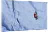 Ice climbing in the Bernes Oberland, Swiss Alps by Anonymous