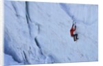 Ice climbing in the Bernes Oberland, Swiss Alps by Anonymous