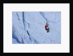 Ice climbing in the Bernes Oberland, Swiss Alps by Anonymous