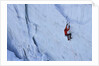 Ice climbing in the Bernes Oberland, Swiss Alps by Anonymous