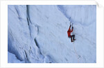 Ice climbing in the Bernes Oberland, Swiss Alps by Anonymous