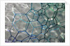 Close-up Patterns in Soap Bubbles by Anonymous