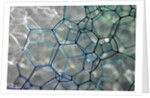 Close-up Patterns in Soap Bubbles by Anonymous