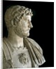 Bust of the Emperor Hadrian by Anonymous