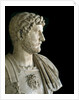 Bust of the Emperor Hadrian by Anonymous