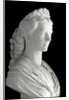Bust of Elisabeth (Sisi) of Wittelsbach, Marble sculpture by Anonymous