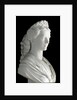 Bust of Elisabeth (Sisi) of Wittelsbach, Marble sculpture by Anonymous