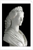 Bust of Elisabeth (Sisi) of Wittelsbach, Marble sculpture by Anonymous