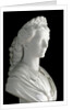 Bust of Elisabeth (Sisi) of Wittelsbach, Marble sculpture by Anonymous