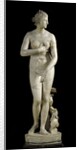 The Medici Venus - Marble copy of Greek sculpture by Anonymous