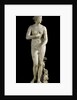 The Medici Venus - Marble copy of Greek sculpture by Anonymous