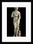 The Medici Venus - Marble copy of Greek sculpture by Anonymous