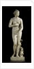 The Medici Venus - Marble copy of Greek sculpture by Anonymous