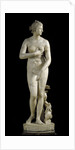 The Medici Venus - Marble copy of Greek sculpture by Anonymous