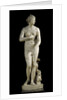 The Medici Venus - Marble copy of Greek sculpture by Anonymous