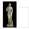 The Medici Venus - Marble copy of Greek sculpture by Anonymous