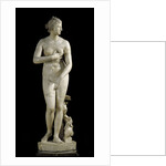The Medici Venus - Marble copy of Greek sculpture by Anonymous