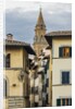 The Sdrucciolo (street) dei Pitti and the bell-tower of the Chiesa (church) di Santo Spirito by Anonymous