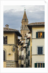 The Sdrucciolo (street) dei Pitti and the bell-tower of the Chiesa (church) di Santo Spirito by Anonymous