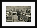 PASTEUR, Louis (1822-1895). Pasteur observes the effects of inoculation of rabies virus. by Anonymous