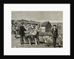 PASTEUR, Louis (1822-1895). Vaccination of sheep against anthrax. by Anonymous
