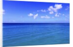 Caribbean Sea, West coast of Barbados by Anonymous