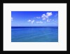 Caribbean Sea, West coast of Barbados by Anonymous