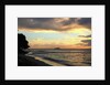 Sandy Lane beach at sunset by Anonymous
