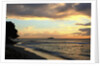 Sandy Lane beach at sunset by Anonymous