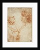 Drawing of an Old Man and a Youth by Leonardo da Vinci