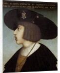 Portrait of Ferdinand I by Hans Maler zu Schwaz