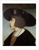 Portrait of Ferdinand I by Hans Maler zu Schwaz