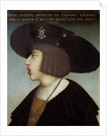Portrait of Ferdinand I by Hans Maler zu Schwaz
