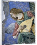 Musical Angel or Angel Musician by Melozzo da Forli