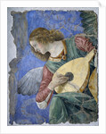Musical Angel or Angel Musician by Melozzo da Forli