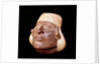 Moche anthropomorphic vase by Anonymous