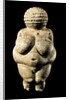 Venus of Willendorf by Anonymous