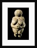 Venus of Willendorf by Anonymous