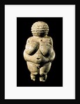 Venus of Willendorf by Anonymous