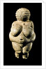 Venus of Willendorf by Anonymous