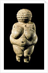 Venus of Willendorf by Anonymous