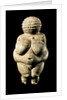 Venus of Willendorf by Anonymous