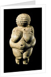 Venus of Willendorf by Anonymous