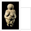 Venus of Willendorf by Anonymous