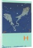 Pisces, The Fish by Anonymous