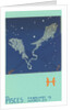 Pisces, The Fish by Anonymous