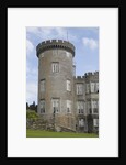 Dromoland Castle turret by Anonymous