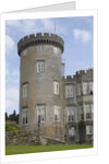 Dromoland Castle turret by Anonymous