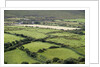 Sheep graze on the Dingle Peninsula by Anonymous